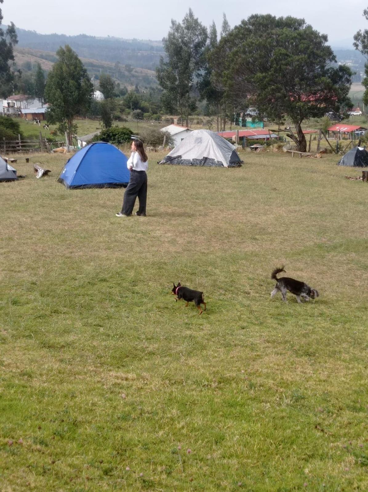 Camping Las Acacias Guatavita Exterior foto